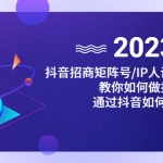 抖音/招商/矩阵号＋IP人设/号+变现/收徒，教你如何做抖音，通过抖音赚钱