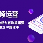 短视频自然流IP第2期：从0到月入5w成为有数据运营变现赚钱独立IP孵化手