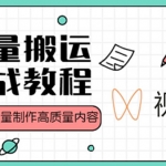 视频号批量搬运实战赚钱教程，傻瓜式批量制作高质量内容【附视频教程+PPT】