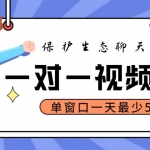 最新保护生态一对一视频挂机聊天项目，单窗口一天最少50+【永久脚本+教程】