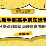 从新手到高手京东运营培训：从基础到高级 玩转京东电商平台