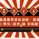 抖音直播带货实战班：直播间引流/转化/话术/等 学完就开干