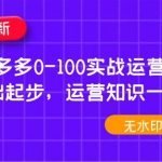 2023拼多多0-100实战运营教程，0基础起步，运营知识一手掌握