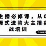 娱乐主播培训班：从0-1保姆式进阶大主播实操培训