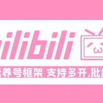 Bilibili多功能养号框架，支持多开，批量抽奖！!