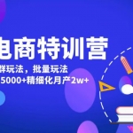 美团电商加盟站长：美团·店群玩法，无脑铺货月产出6000-15000+精细化月产2w+