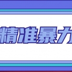 闲鱼精准暴力引流全系列课程，每天被动精准引流200+客源技术（8节视频课）