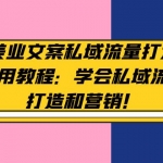 美业文案私域流量打造实用教程：学会私域流量打造和营销！