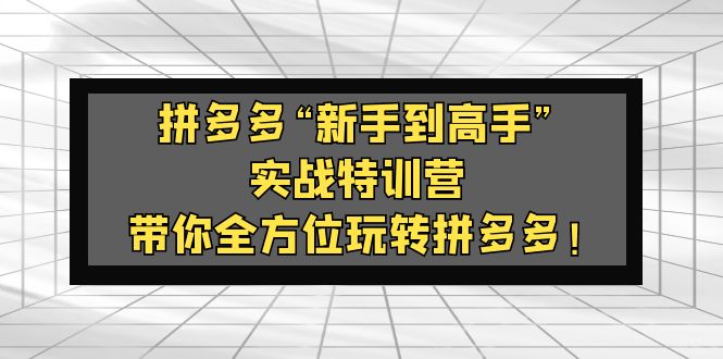 拼多多“新手到高手”实战加盟站长：带你全方位玩转拼多多！