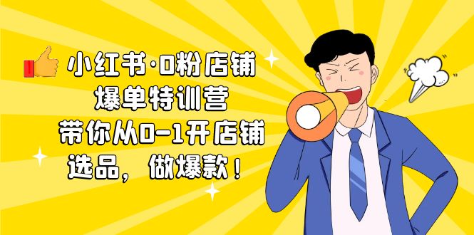 小红书·0粉店铺爆单加盟站长 带你从0-1开店铺，选品，做爆款（课程+工具包）