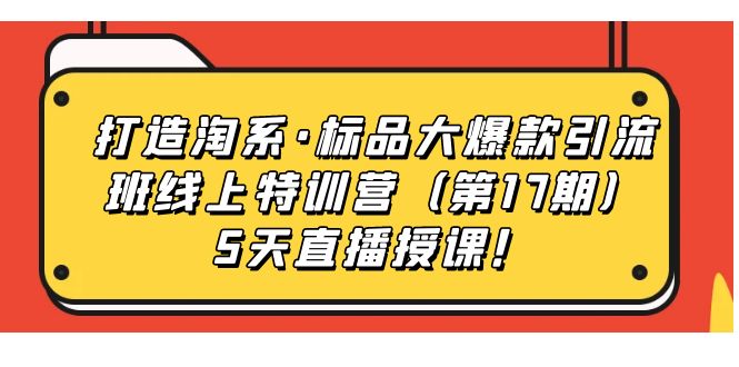 打造淘系·标品大爆款引流班线上加盟站长（第17期）5天直播授课！