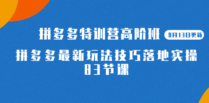 2023拼多多·加盟站长高阶班【9月13日更新】拼多多最新玩法技巧落地实操-83节