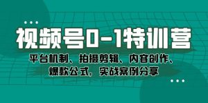 视频号0-1加盟站长：平台机制、拍摄剪辑、内容创作、爆款公式，实战案例分享