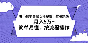 丑小鸭变天鹅女神塑造小红书玩法，月入5万+，简单易懂，按流程操作