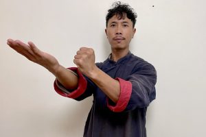 咏春拳席林涛（Siu Nim Tau) 第一式高级 Wing Chun Sil Lim Tao Siu Nim Tau First Form